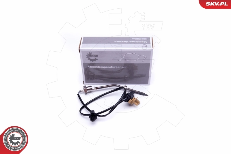 Sensor, exhaust gas temperature